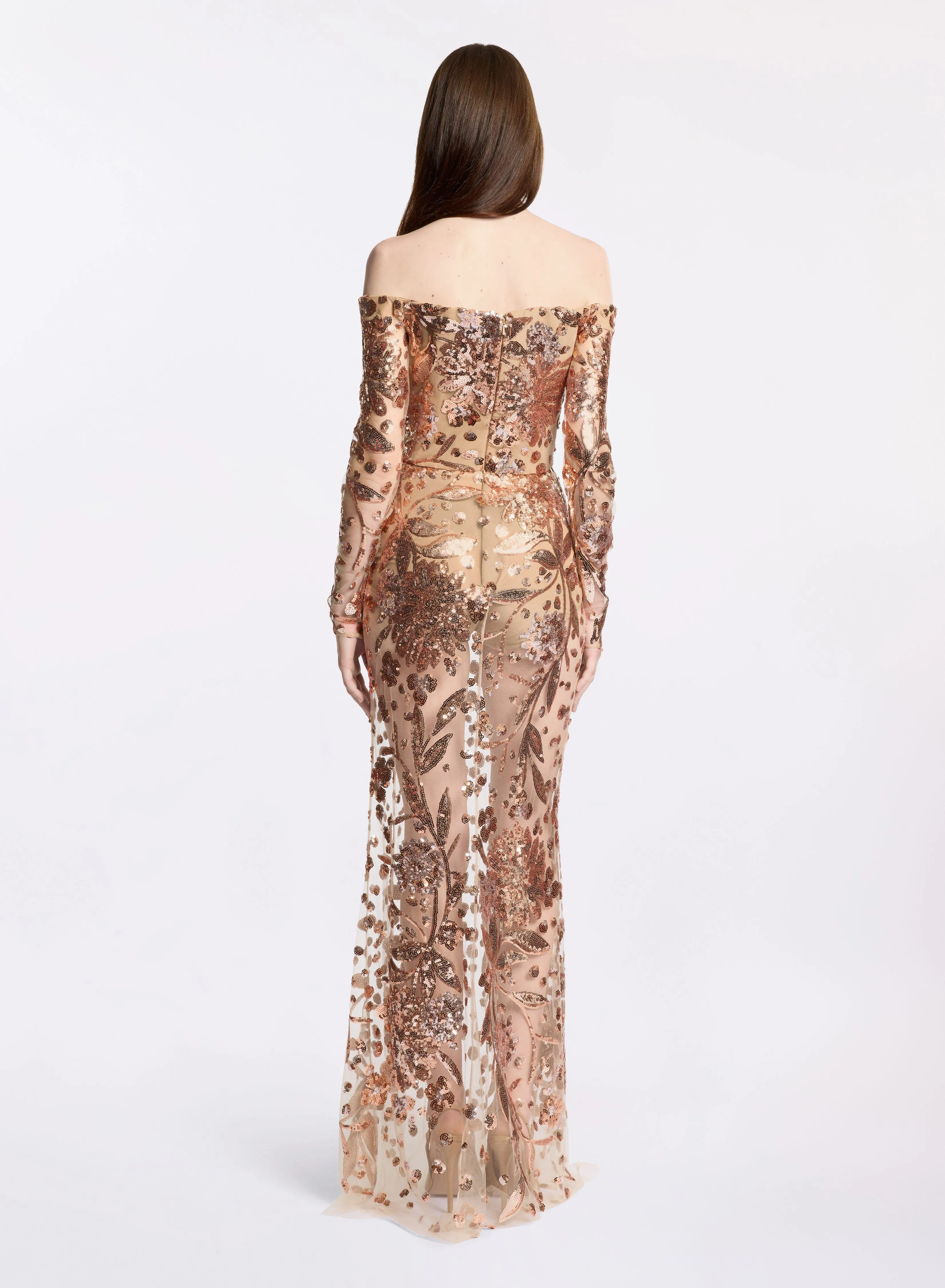 Embroidered Tulle Long Dress