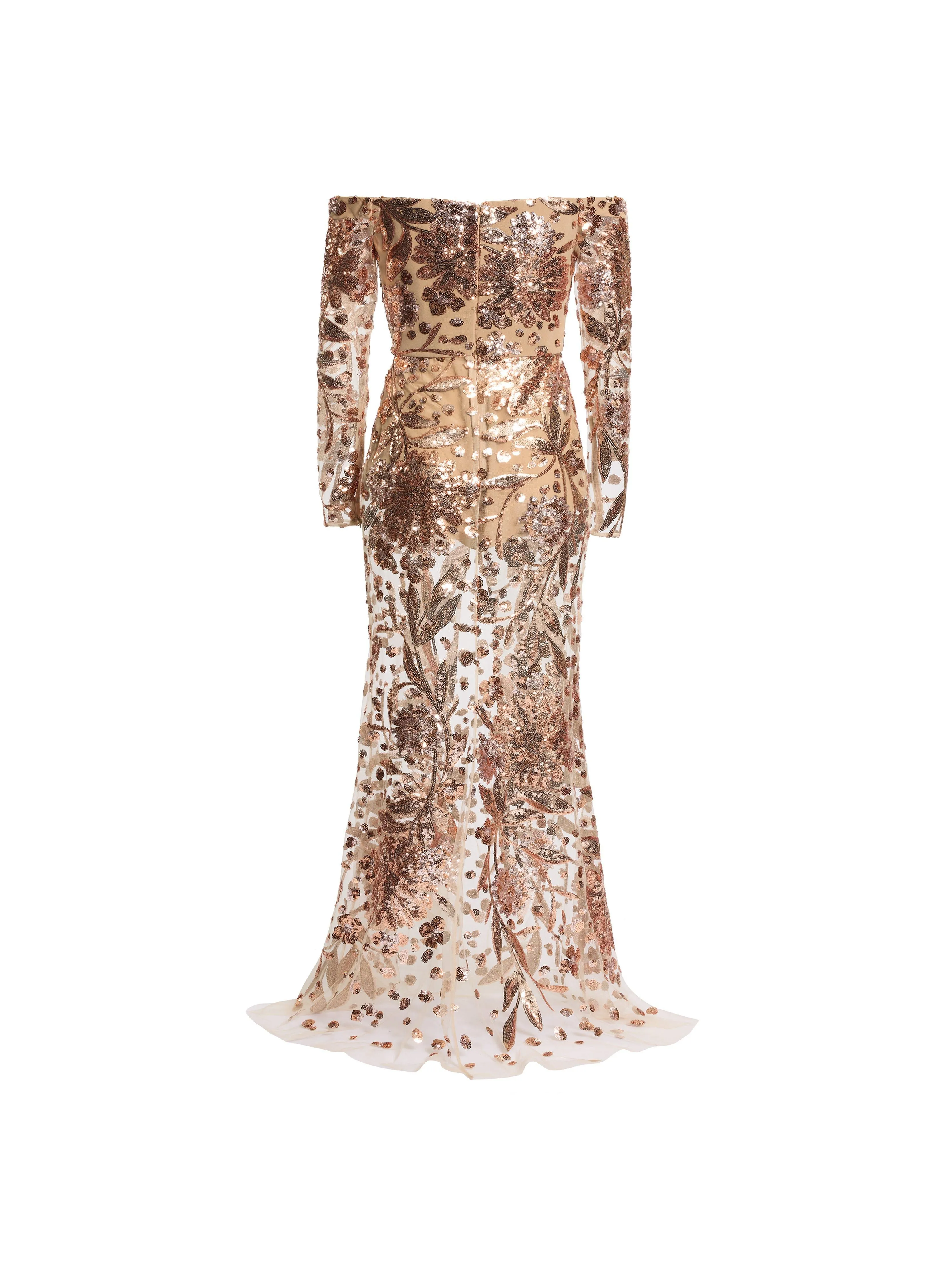 Embroidered Tulle Long Dress