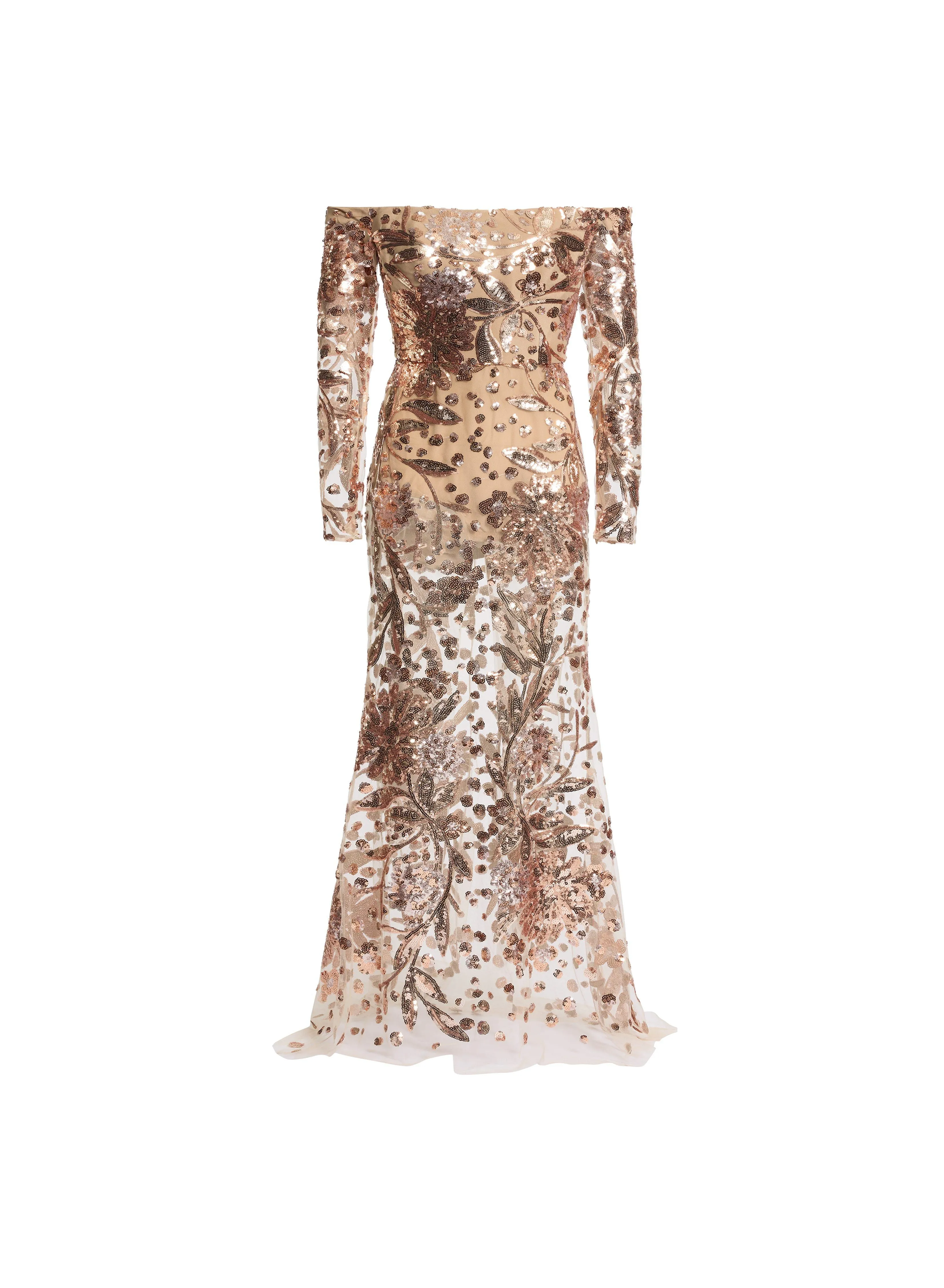 Embroidered Tulle Long Dress