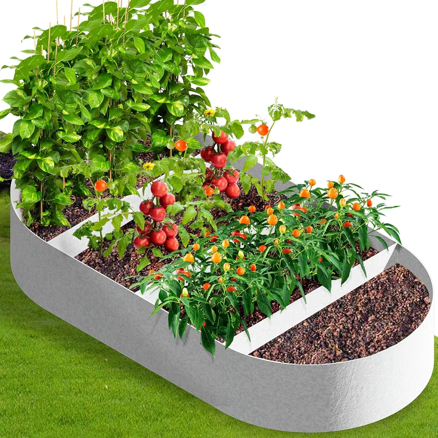 Fabric Raised Garden Beds Outdoor Grow Bags, 6x3x1ft Oval Raised Flower Bed Kit, Breathable Vegetable Planter Growing Bags for Potato, Planting Bags for Container Gardening Outdoor