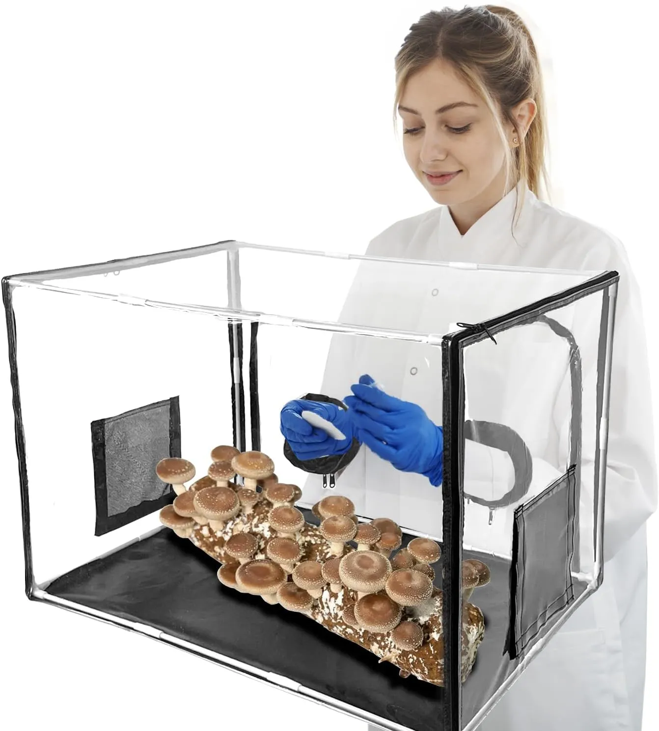 Large Mushroom Growing Kit, Still Air Box, Mycology Mushroom Grow Tent, Laminar Flow Hood for Mushroom Spores Growing Supplies Substrate(32 * 20 * 20 inch)