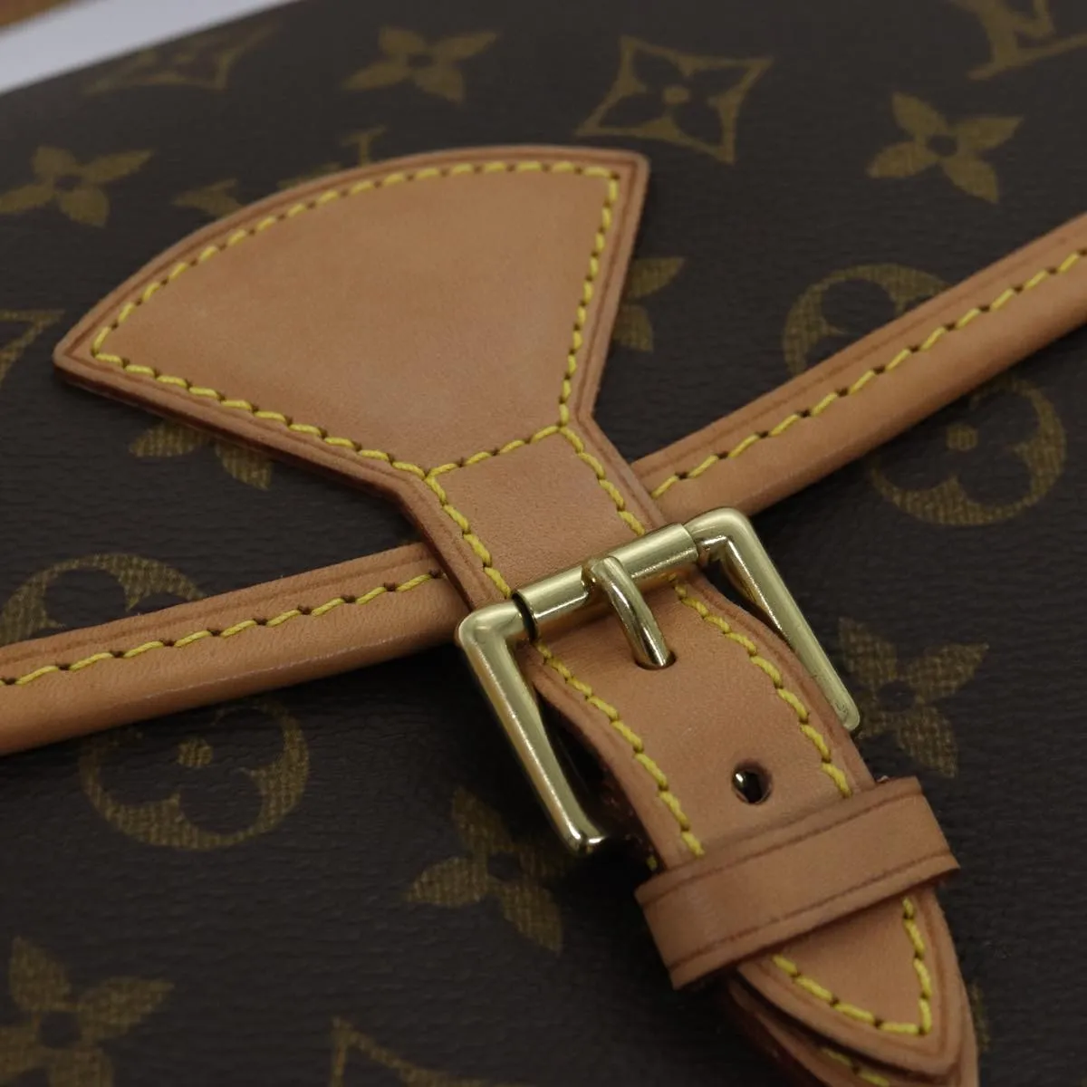 LOUIS VUITTON Monogram Sologne Shoulder Bag M42250 LV am6340A