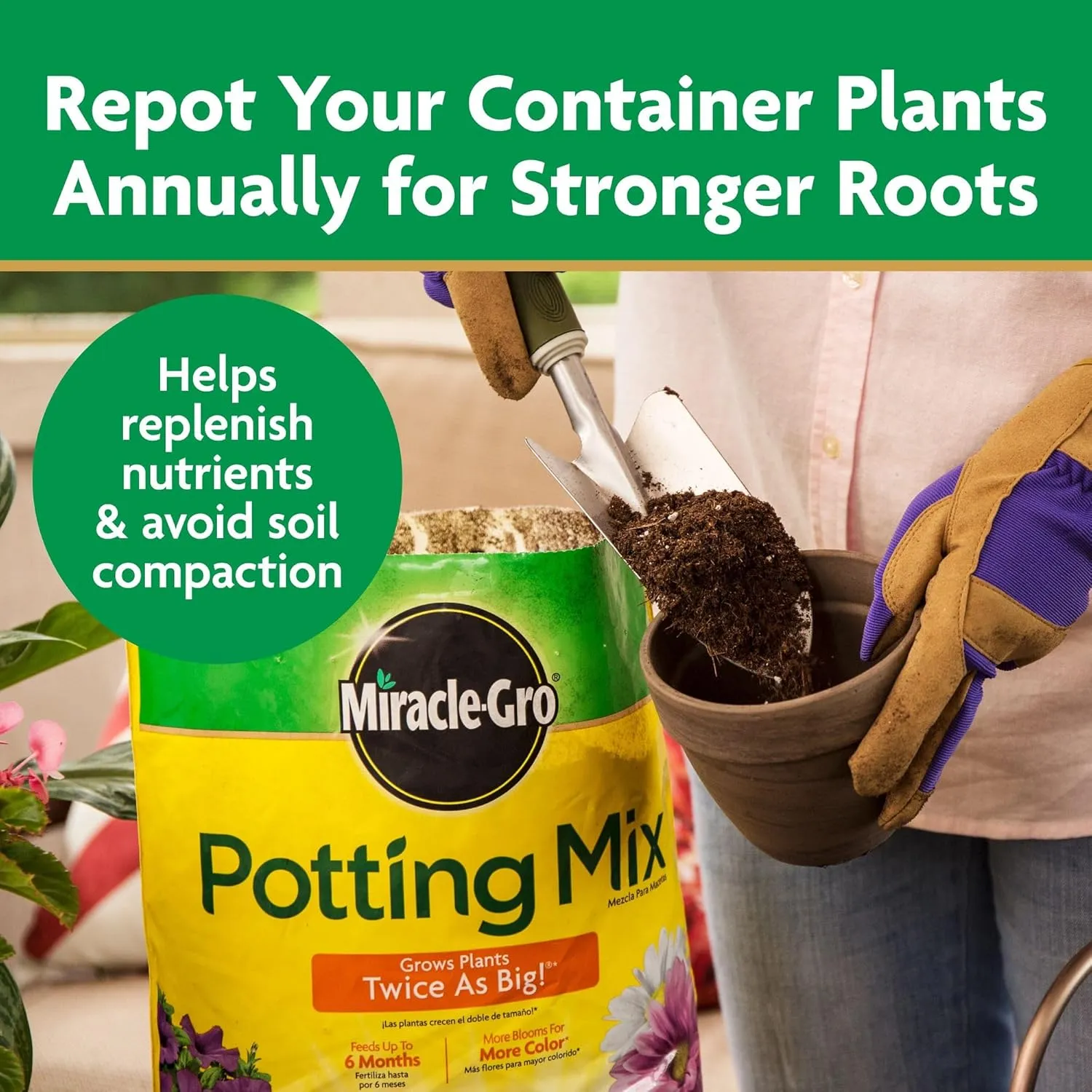 Miracle-Gro Potting Mix, For Container Plants, Flowers, Vegetables, Shrubs, Annuals, Perennials, Feeds up to 6 Months, 8 qt., 2-Pack