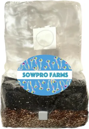 Sterilized Mushroom Growing Substrate | All-in-One Mix with Grains and Coco Coir | Self Healing Injection Port .2 Micron Filter Patch (3lbs, 2, 2 Bags)