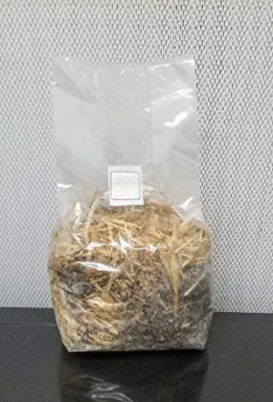 Straw/Coco Coir Substrate Bags - 1 Bag Per Order - for Wood Loving Mushrooms - Pasteurized Straw/Coco Coir and Other Ingredients - for Your Mushrooms