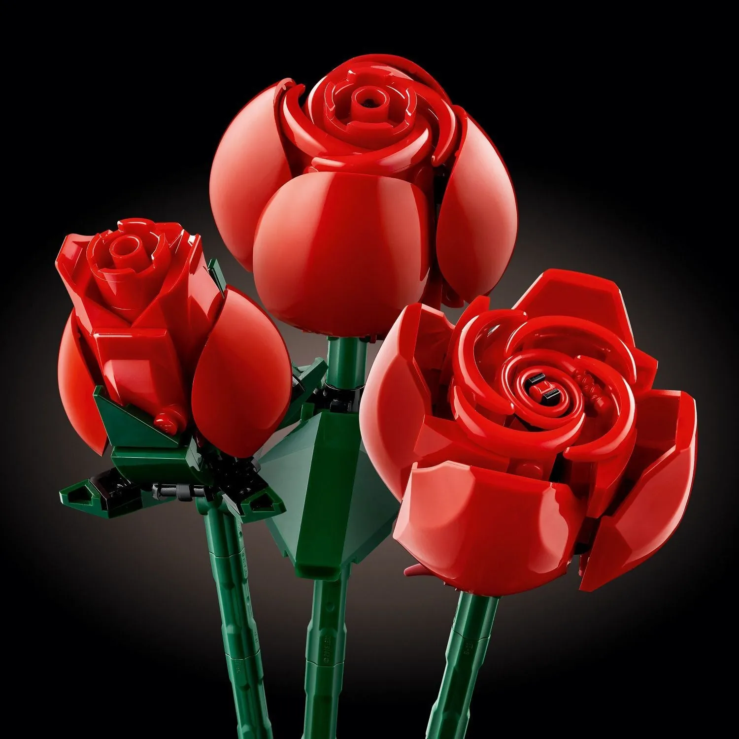 The Botanical Collection: Bouquet of Roses