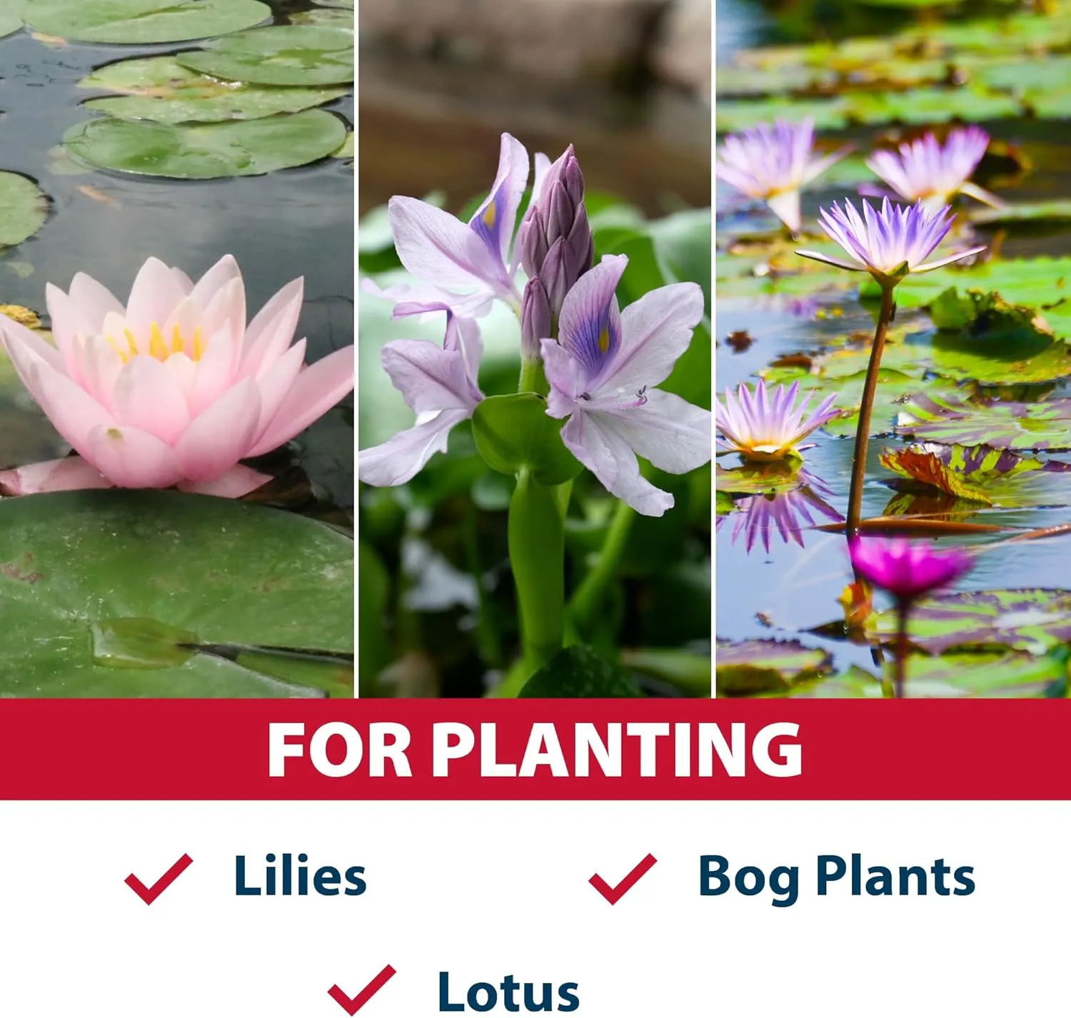 The Pond Guy Planting Media, Outdoor Water Garden Plant Medium, Grow Lily, Lotus & Aquatic Plants, Substrate Seeds Beneficial Microbes, 8 Quarts (2X 4qt/Approx. 6 lb Bags)