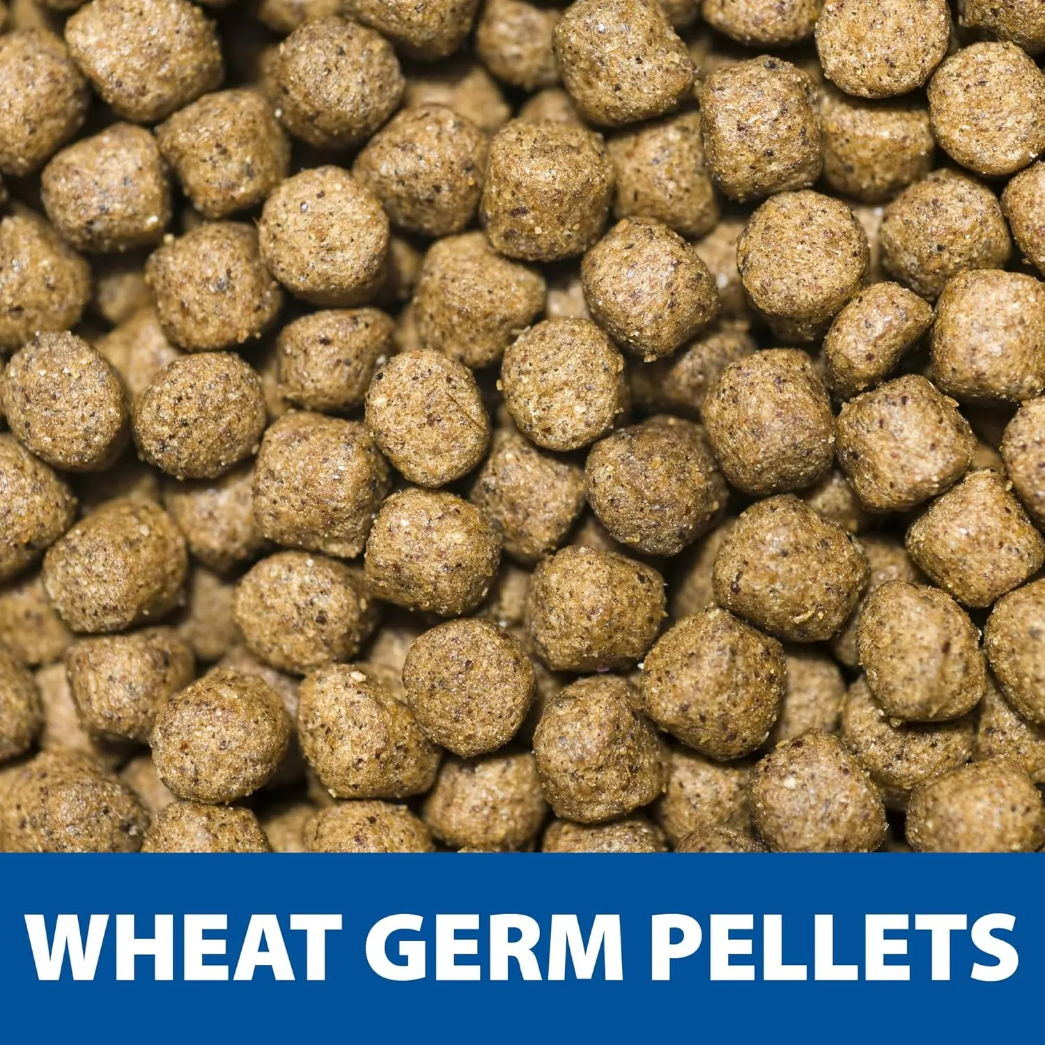 The Pond Guy Spring & Fall Wheat Germ Fish Food for Koi & Goldfish, Premium Cold Weather Floating Pellets, Healthy Formula for Winter Nutrition, 2 lbs